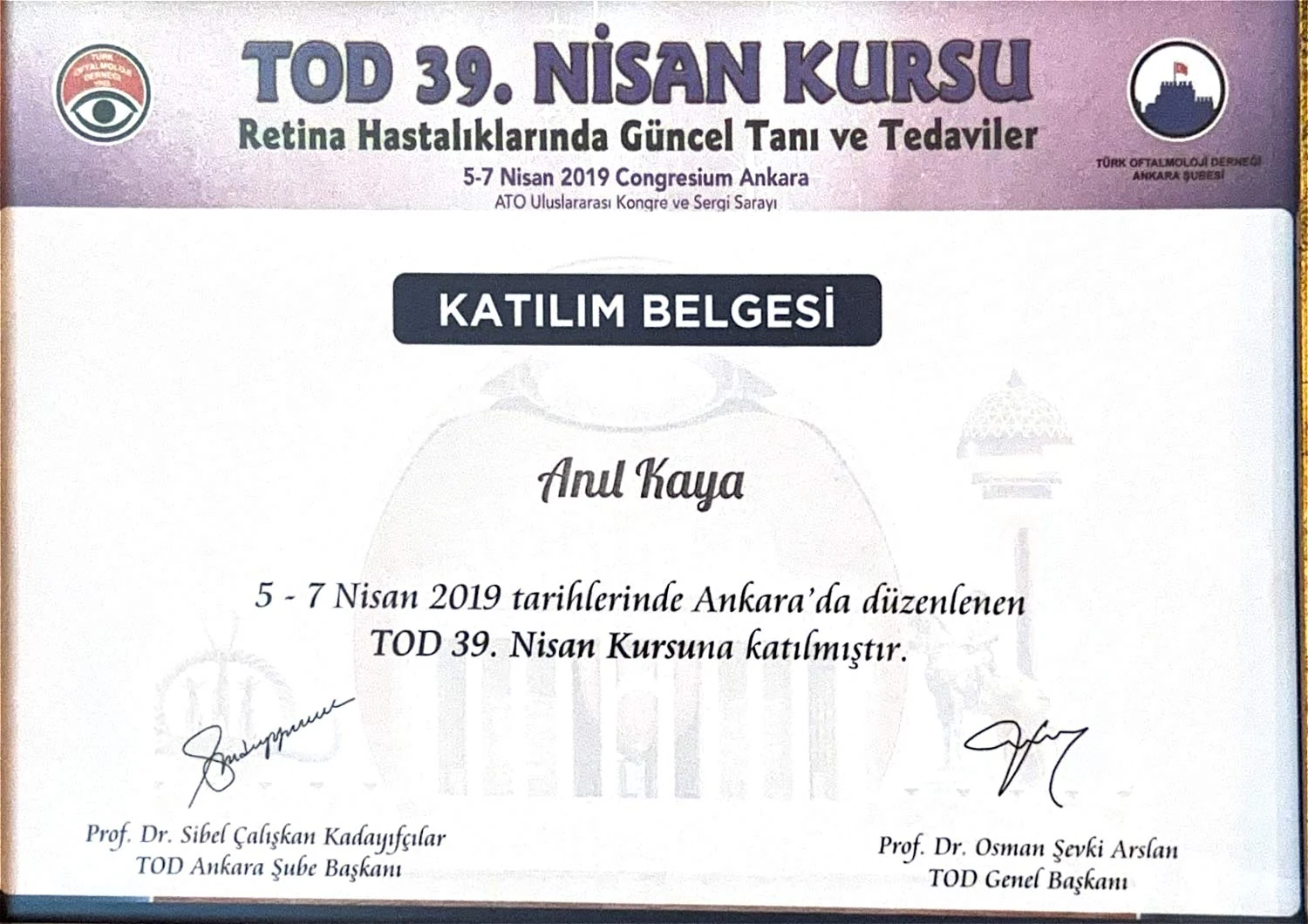 Retina hastalıkları uzmanı – TOD retina hastalıkları kursu belgesi