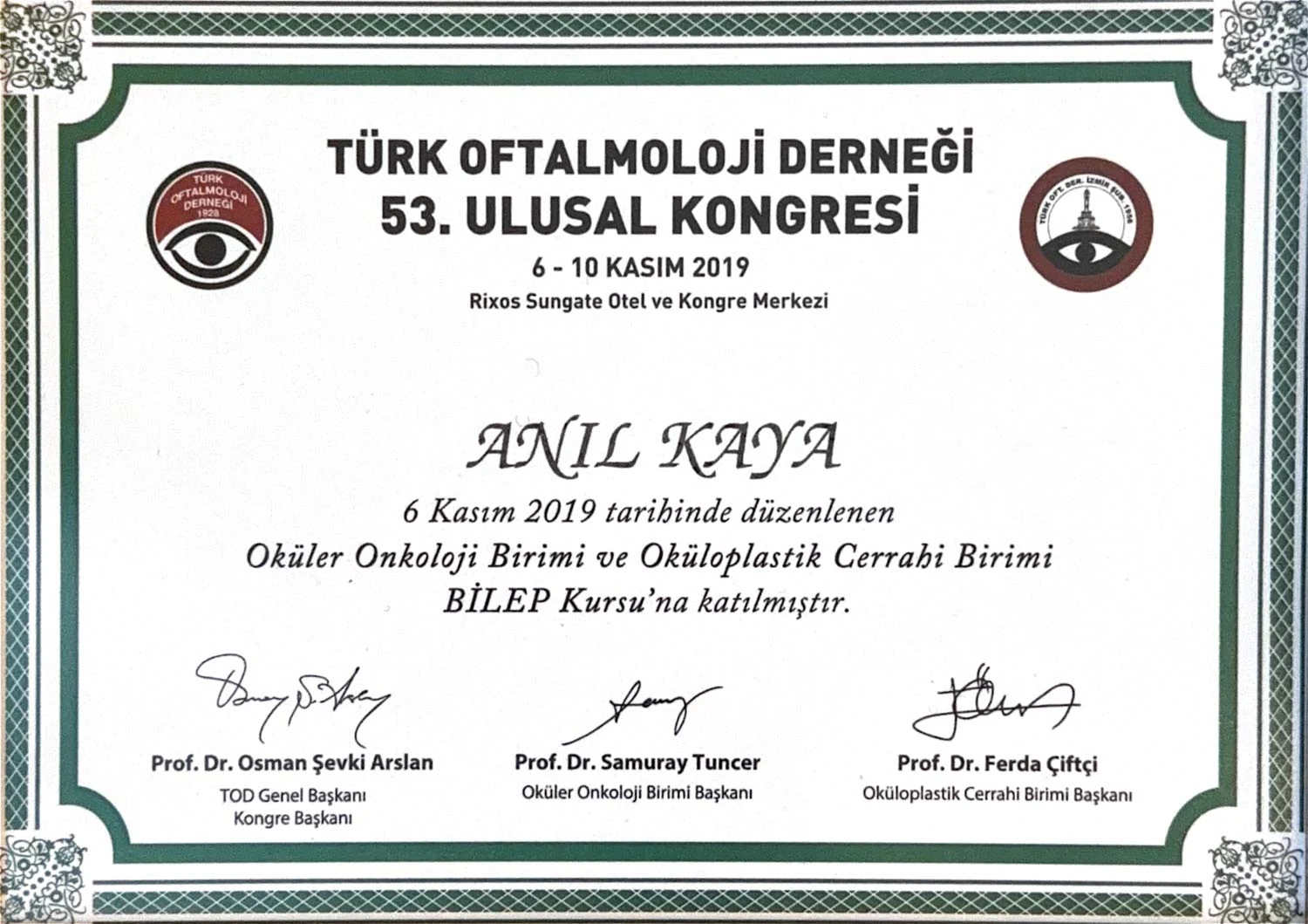 İstanbul'da en iyi göz kapağı ameliyatı yapan doktor – oküloplastik cerrahi kursu belgesi