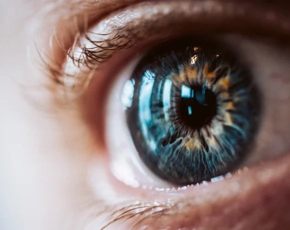 retina
